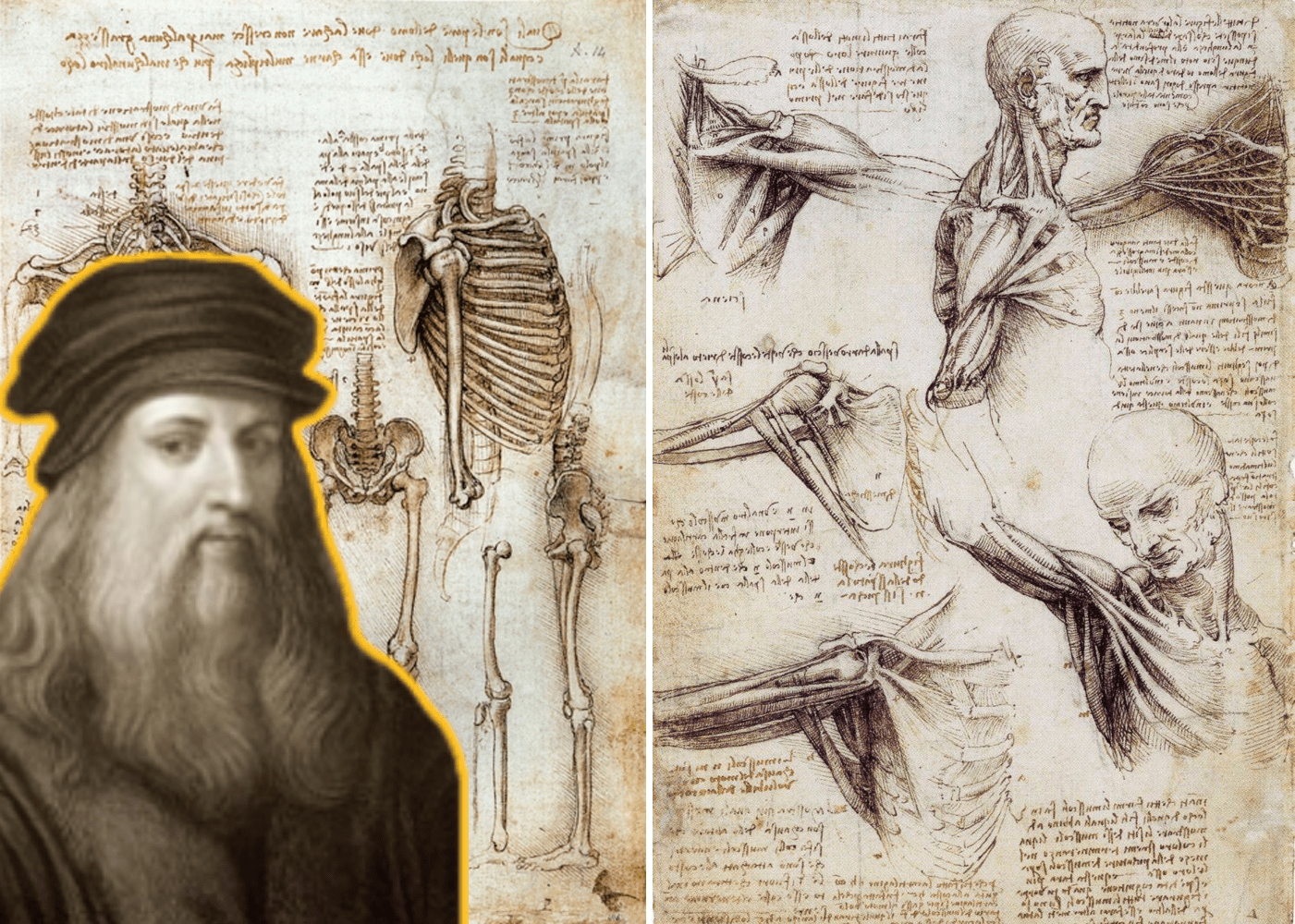 Leonardo da Vinci ve Anatomi Arasındaki İlişki: Bilim ve Sanat